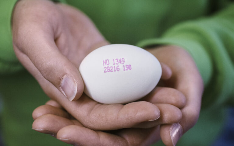 Nortura Rakkestad egg no018047 Foto Øivind Haug
