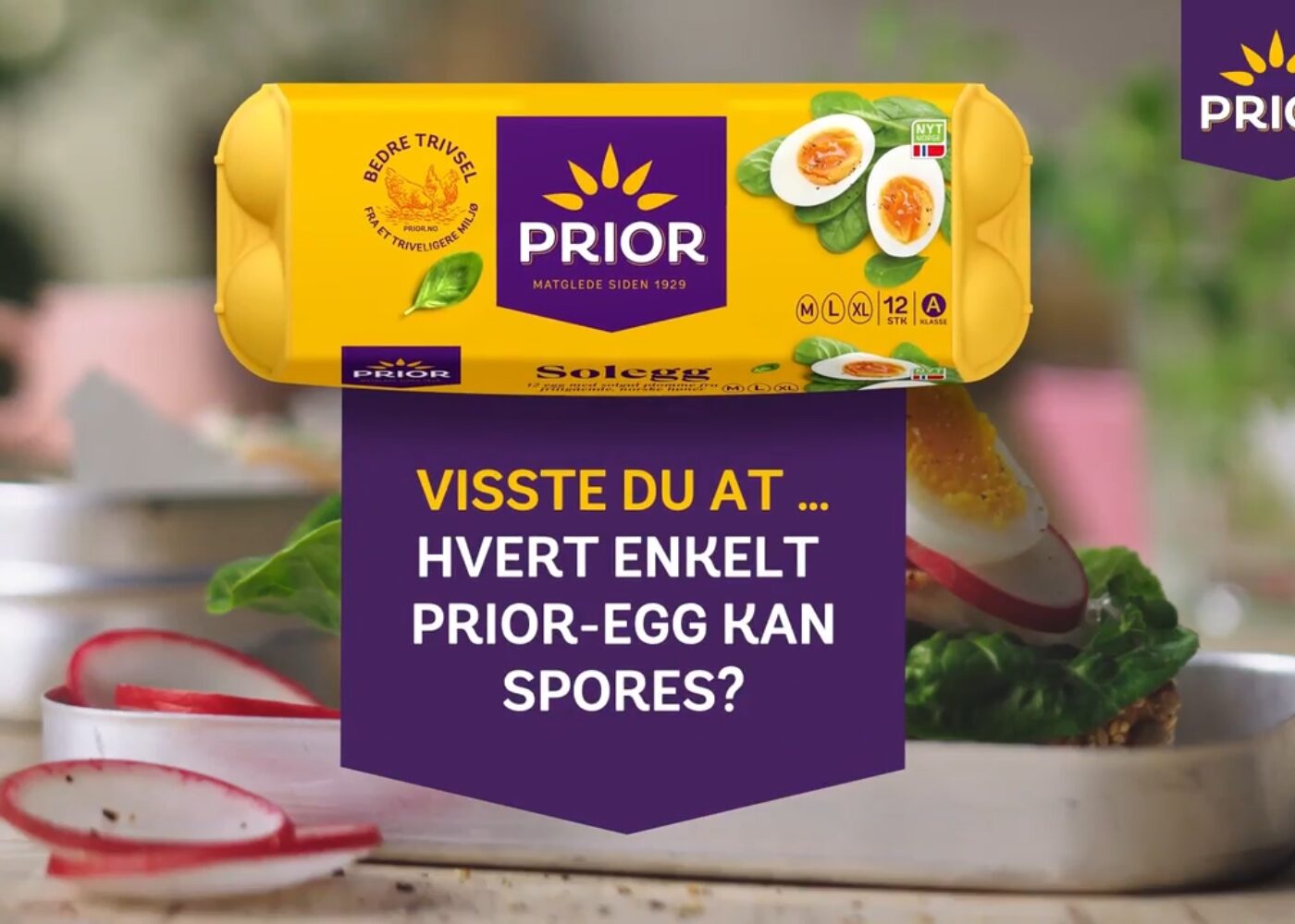 Slik sporer du ditt PRIOR-egg