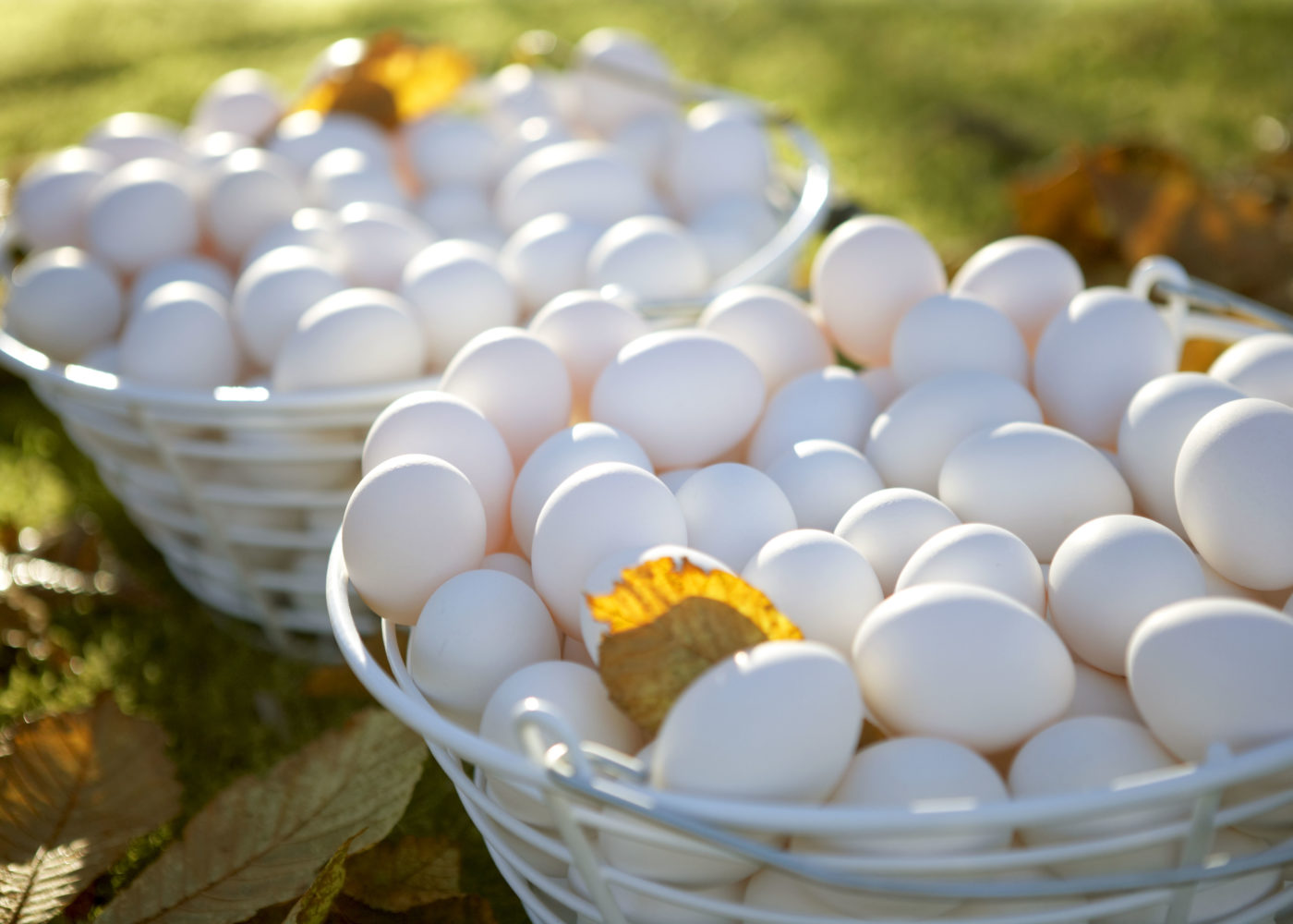 Egg i kurv