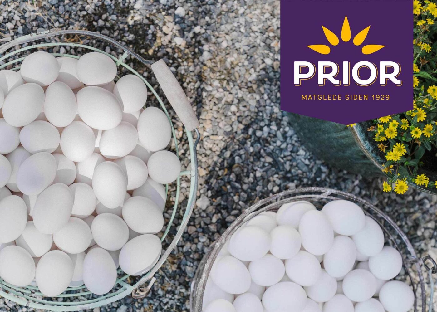 Holdbarhet Prior egg