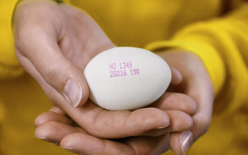 egg i hånd