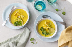 Asiatisk kyllingsuppe