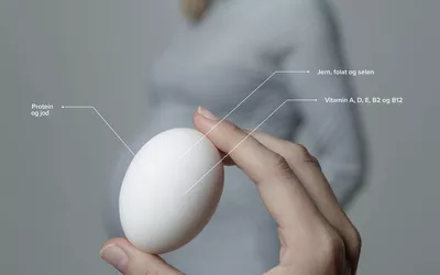 Egg og graviditet