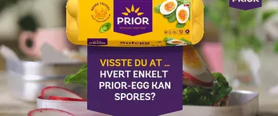 Slik sporer du ditt PRIOR-egg