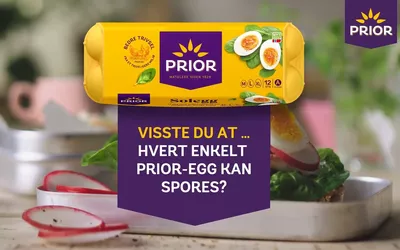 Slik sporer du ditt PRIOR-egg