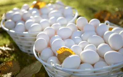 Egg i kurv